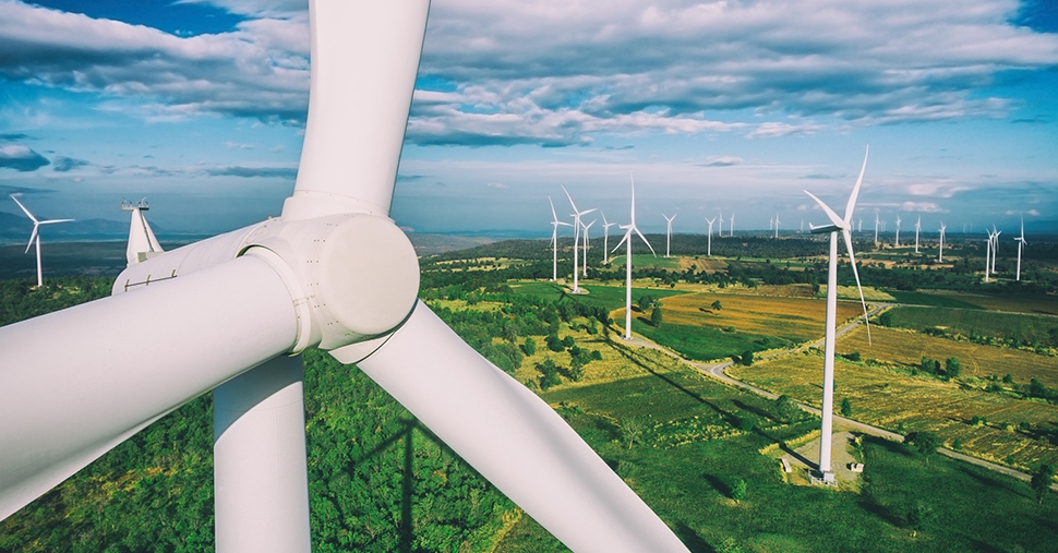 PSG Stewardship and Sustainability Policy 