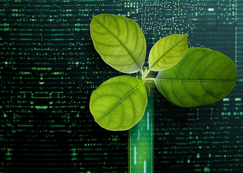 The Brookfield PSG 2024 Stewardship Report