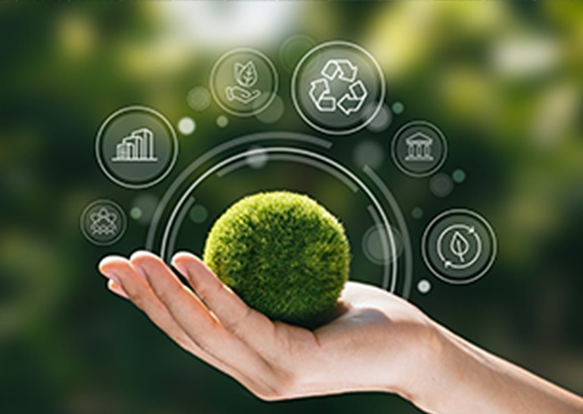 Brookfield Public Securities Group Proxy Voting Guidelines